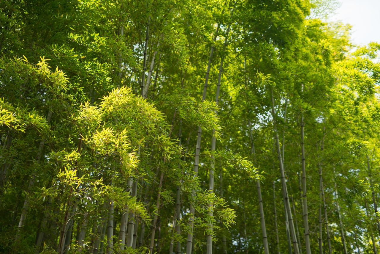 Kyoto Chikuan公寓 外观 照片