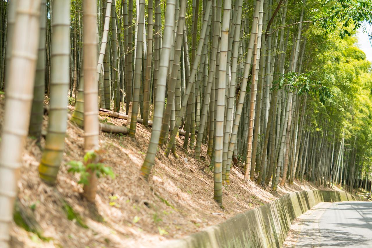Kyoto Chikuan公寓 外观 照片